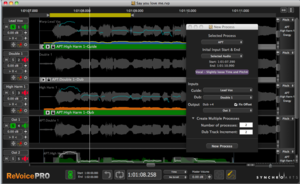 Revoice Pro 3 - New Process