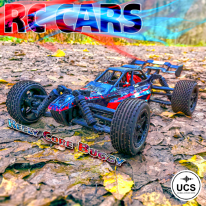 RC Cars | Reely Core Buggy