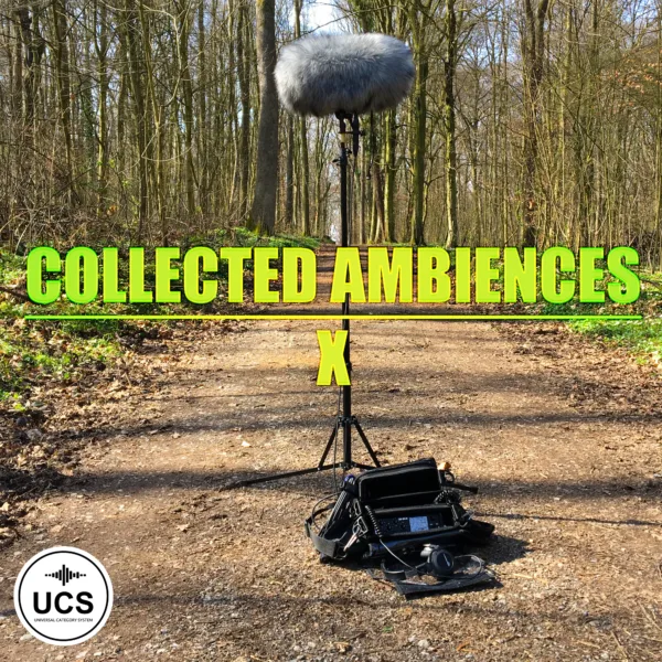 Collected Ambiences | Volume 10