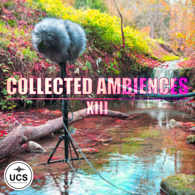 Collected Ambiences | Volume 13